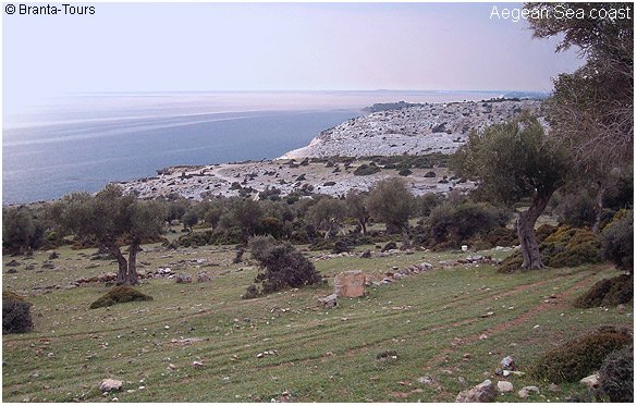 Greece birding destination